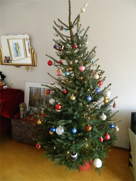 Kerstboom