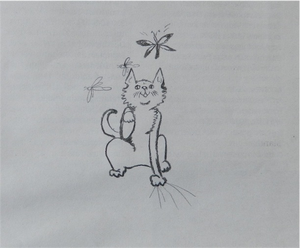 Illustratie: Judith Lammers